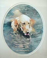 Sammy