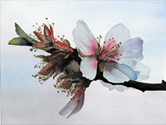 Katrina Small Floral