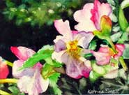Katrina Small Floral