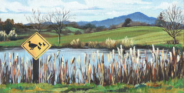 Duck Crossing