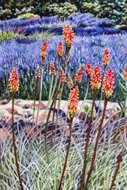 Katrina Small Landscape
