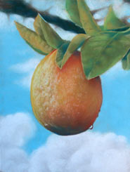 Katrina Small Still Life